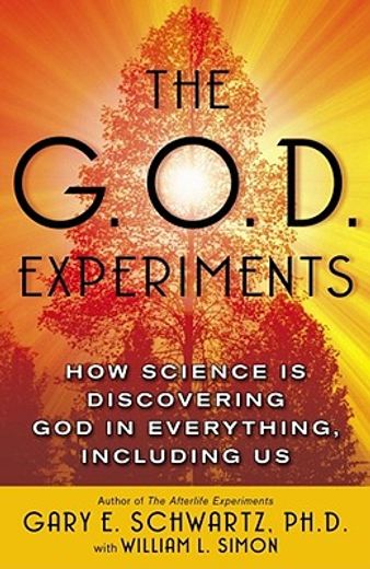 the g.o.d. experiments,how science is discovering god in everything, including us
