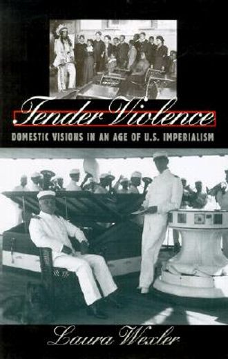 tender violence,domestic visions in an age of u.s. imperialism