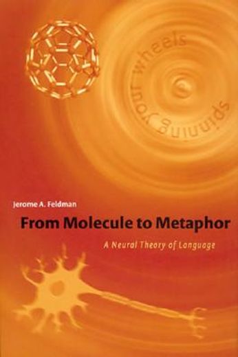 from molecule to metaphor,a neural theory of language