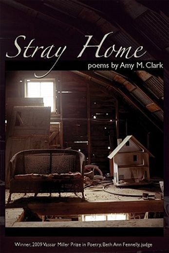 stray home (en Inglés)