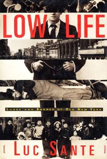 Low Life: Lures and Snares of old new York (in English)
