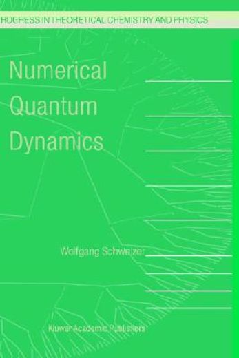 numerical quantum dynamics