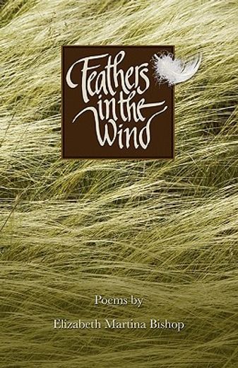feathers in the wind (en Inglés)