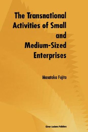 the transnational activities of small and medium-sized enterprises (en Inglés)
