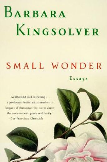 small wonder (en Inglés)