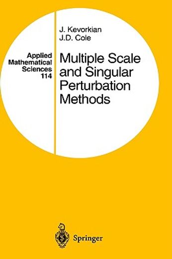 multiple scale and singular perturbation methods