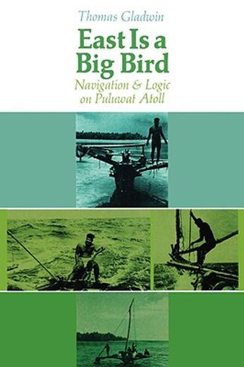 east is a big bird; navigation and logic on puluwat atoll.,navigation and logic on puluwat atoll