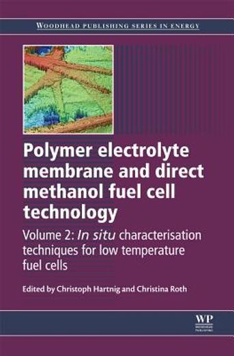 Polymer Electrolyte Membrane and Direct Methanol Fuel Cell Technology: Volume 2: In Situ Characterization Techniques for Low Temperature Fuel Cells (en Inglés)