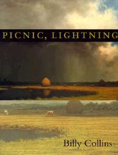 picnic, lightning (en Inglés)