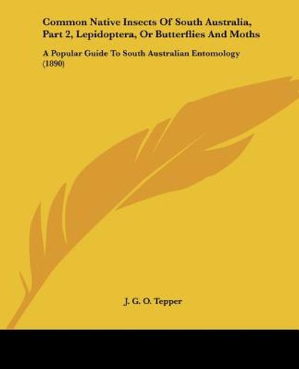 common native insects of south australia, lepidoptera, or butterflies and moths,a popular guide to south australian entomology