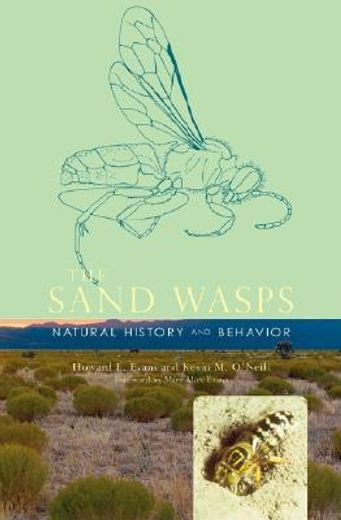 the sand wasps,natural history and behavior