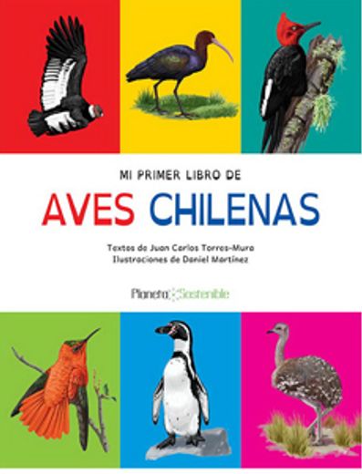 Mi Primer Libro de Aves Chilenas (in Spanish)