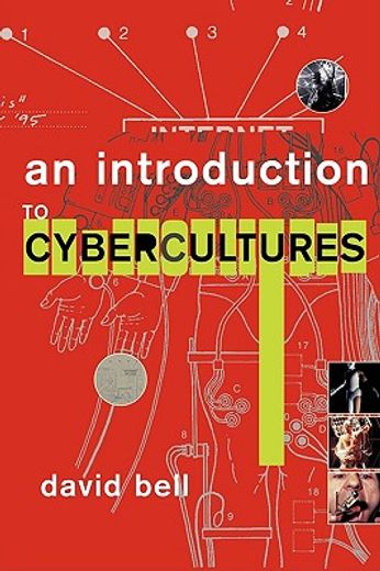 introduction to cybercultures