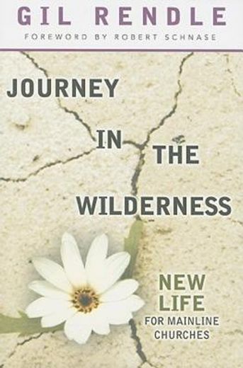journey in the wilderness,new life for mainline churches