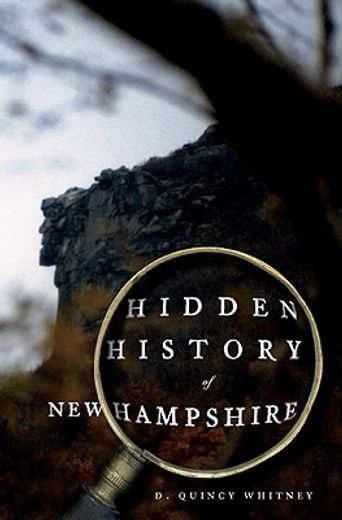 hidden history of new hampshire (en Inglés)