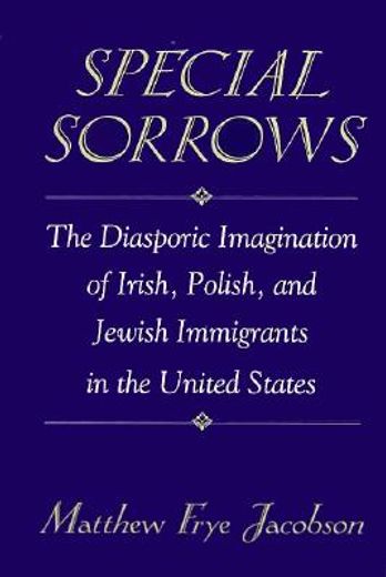 special sorrows,the diasporic imagination of irish, polish, and jewish immigrants in the united states