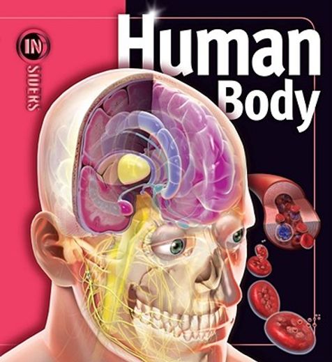 human body (en Inglés)