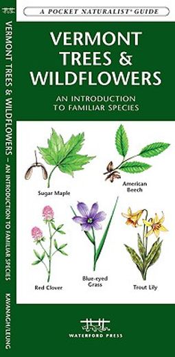 vermont trees & wildflowers,an introduction to familiar species