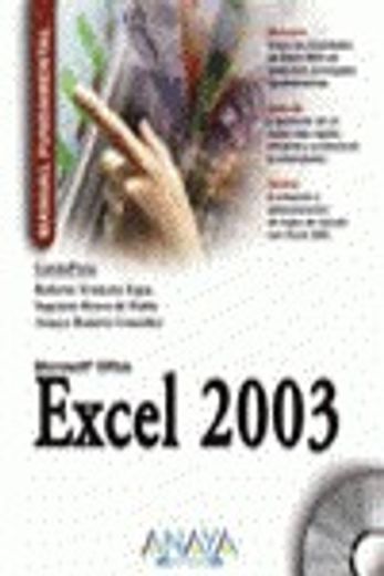 excel 2003