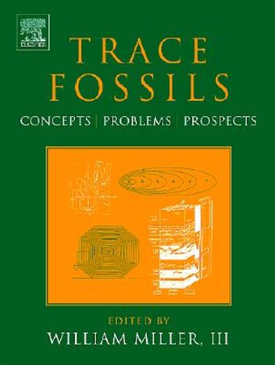 trace fossils,concepts, problems, prospects