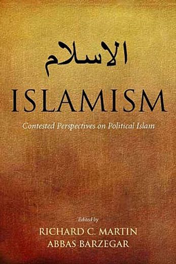 islamism,contested perspectives on political islam