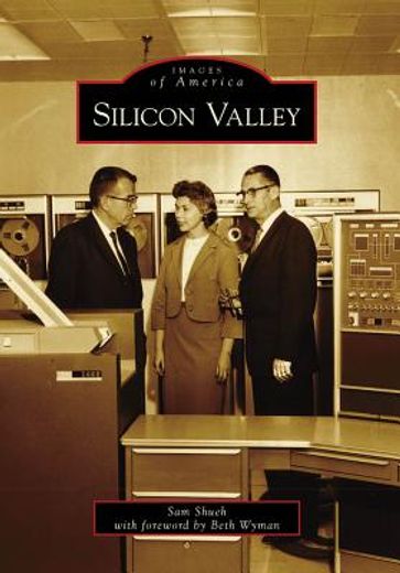 silicon valley (en Inglés)