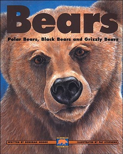 bears,polar bears, black bears and grizzly bears