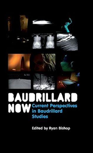 baudrillard now,current perspectives in baudrillard studies