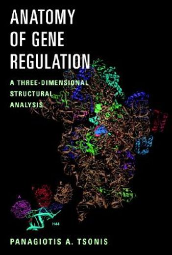 anatomy of gene regulation,a three dimensional structural analysis