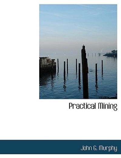 practical mining (large print edition)