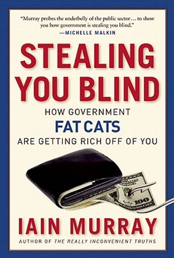 stealing you blind,how government fat cats are getting rich off of you