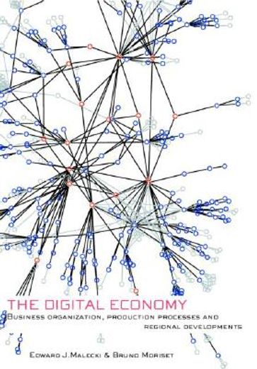 the digital economy,business organization, production processes, and regional developments