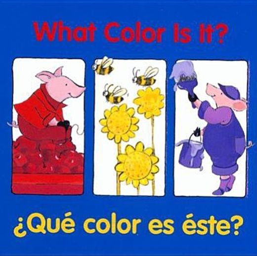 que color es este?/what color is it? (en Inglés)