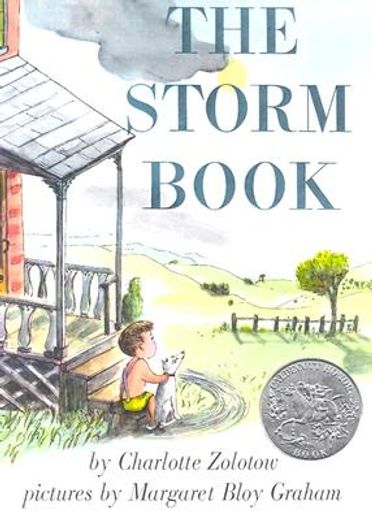 the storm book (en Inglés)