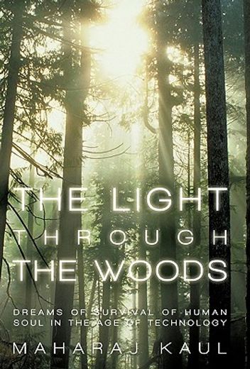 the light through the woods