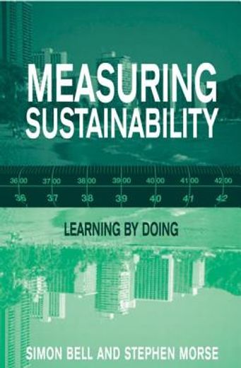 Measuring Sustainability: Learning from Doing (in English)