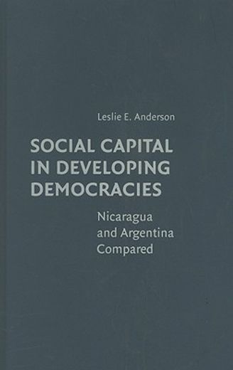 social capital in developing democracies,nicaragua and argentina compared