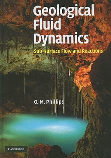 geological fluid dynamics,sub-surface flow and reactions