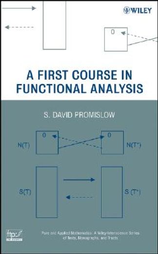a first course in functional analysis