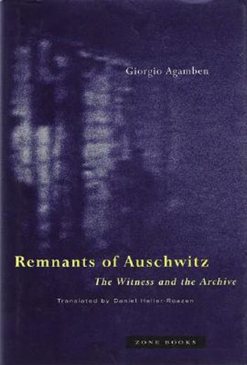 remnants of auschwitz,the witness and the archive