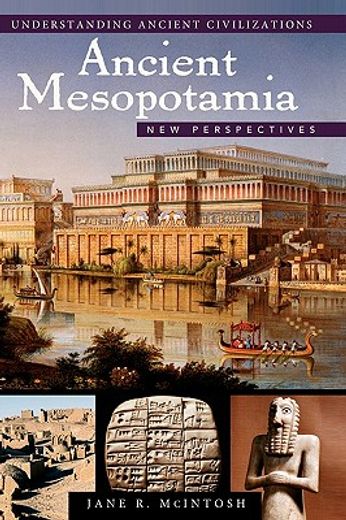 ancient mesopotamia,new perspectives