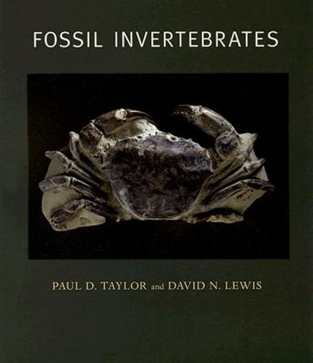fossil invertebrates