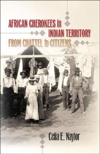 african cherokees in indian territory,from chattel to citizens