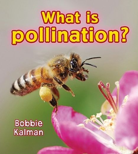 what is pollination? (en Inglés)