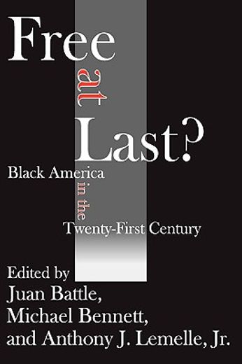 free at last?,black america in the twenty-first century