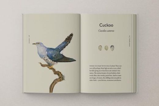 The Book of Birds: A Field Guide to Wonder and Loss