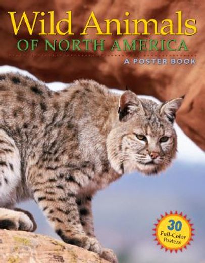 Wild Animals of North America: A Poster Book (en Inglés)