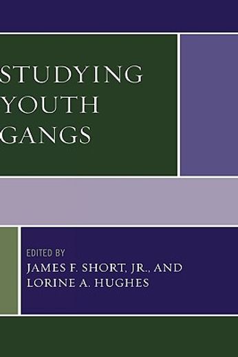 studying youth gangs