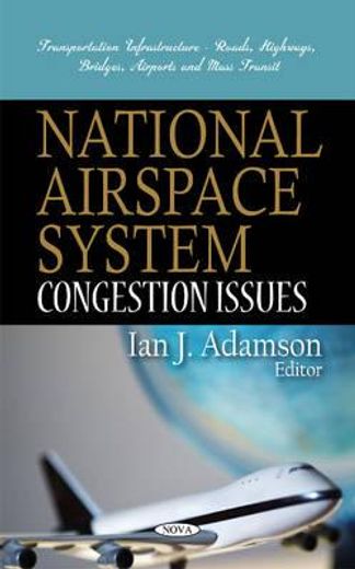 national airspace system,congestion issues