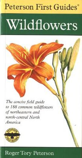 peterson first guide to wildflowers of northeastern and north-central north america (en Inglés)